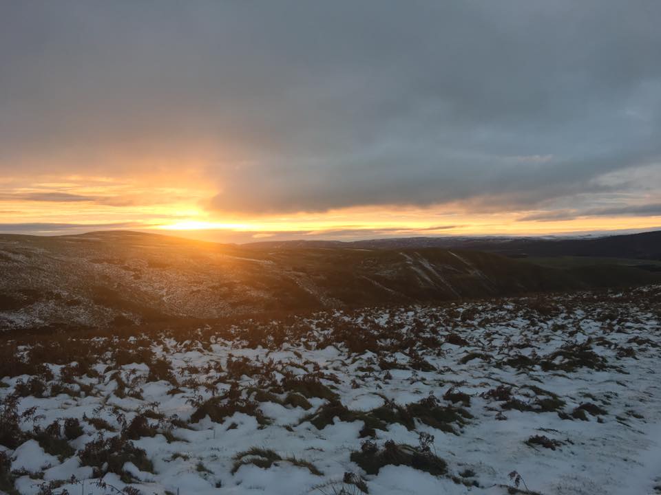 Cheviot Goat Ultra